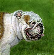 Bulldog Mini Painting